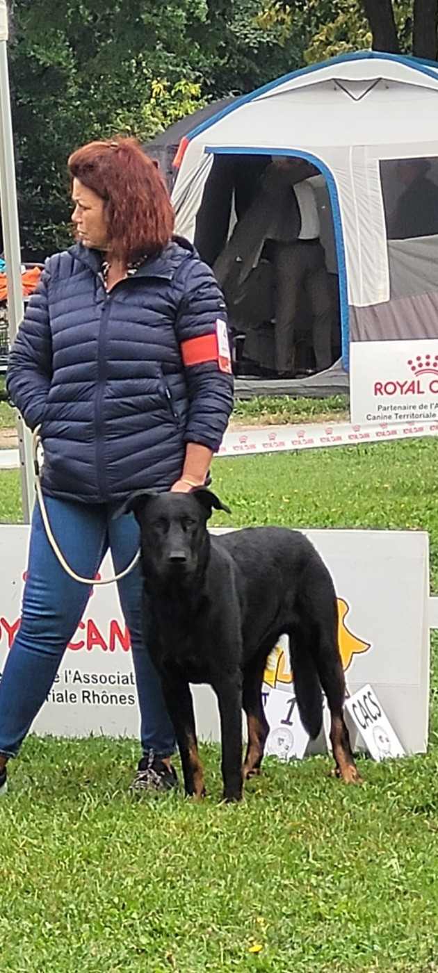 Vasco Des Beaumes Rouges